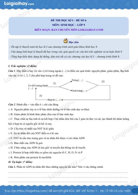 Đề số 6 - Đề kiểm tra học kì 1 - Sinh học 9